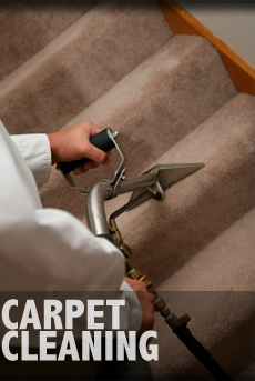 Carpet Cleaning image